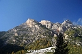 wbgarden alps 35